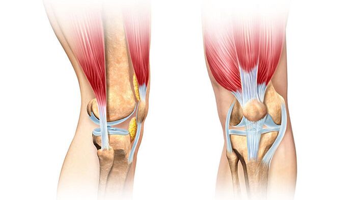 articulação do joelho e seu tratamento para a dor